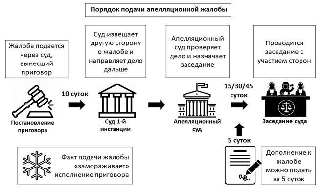 Апелляционная жалоба: особенности и сроки подачи
